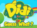 Lalao Didi & Friends Guess What?