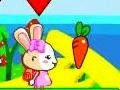 Lalao Brother and sister rabbits