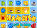 Lalao Hamster Lost In Food