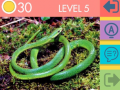 Lalao 15 Picture Quiz