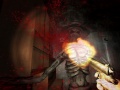 Lalao Amnesia: True Subway Horror