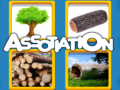 Lalao Assotiation 
