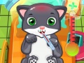 Lalao Cat Doctor
