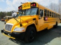 Lalao School Buses Puzzle