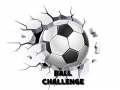 Lalao Ball Challenge