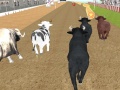 Lalao Angry Bull Racing