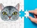Lalao Abyssinian Puzzle Challenge