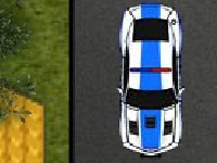 Lalao Police car parking 3
