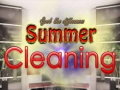 Lalao Spot The differences Summer Cleaning