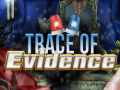 Lalao Trace of Evidence