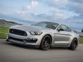 Lalao Mustang Shelby Puzzle