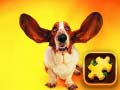 Lalao Funny Dogs Puzzle