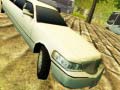 Lalao Limousine Driver
