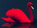 Lalao Love Birds Puzzle