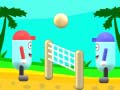 Lalao Beach Volleyball