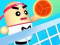 Lalao Amazing Volleyball