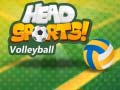Lalao Head Sports Volleyball