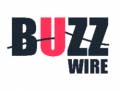 Lalao Buzz Wire