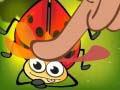 Lalao Insect Cush