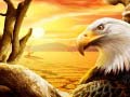 Lalao Eagle