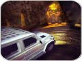 Lalao Scary Car Driving Simulator