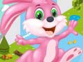 Lalao Bunny Run