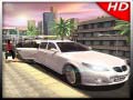 Lalao Luxury Limousine Car Taxi Driver