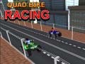 Lalao Quad Bike Racing