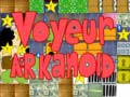 Lalao Voyeur arkanoid