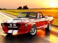Lalao Fancy Mustang Differences