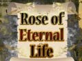Lalao Rose of Eternal Life
