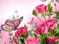 Lalao Butterflies Puzzle
