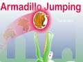 Lalao Armadillo Jumping