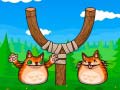 Lalao Shot The Angry Cat