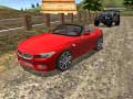 Lalao Real Stunts Drift Car Driving 3d