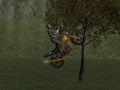 Lalao Mountain Bike Rider