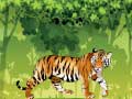 Lalao Angry Tiger Coloring