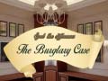 Lalao Spot The Differences The Burglary Case