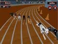Lalao Crazyl Dog Racing Fever
