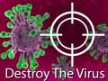 Lalao Destroy The Virus