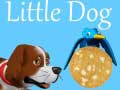 Lalao Little Dog