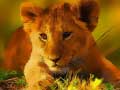 Lalao Wild Baby Animals Jigsaw