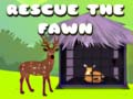 Lalao Rescue the fawn