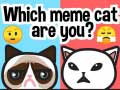 Lalao Which Meme Cat Are You?