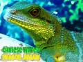 Lalao Chinese Water Dragon Jigsaw