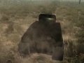 Lalao Tank Battle