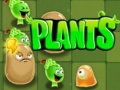 Lalao Plants