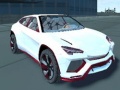 Lalao Amsterdam Project Car Physics Simulator