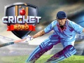 Lalao Cricket 2020