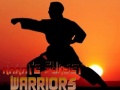 Lalao Karate Sunset Warriors